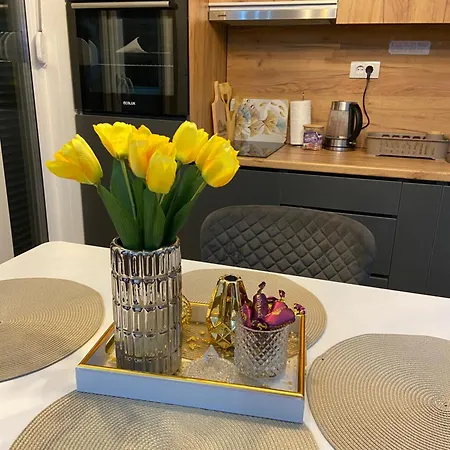 Apartment Apartman Cvetkovic3Dlux Zlatibor